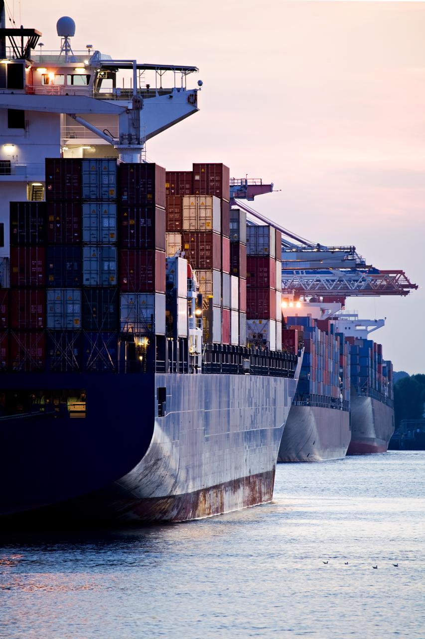 Olive Container Line Global Shipping Network